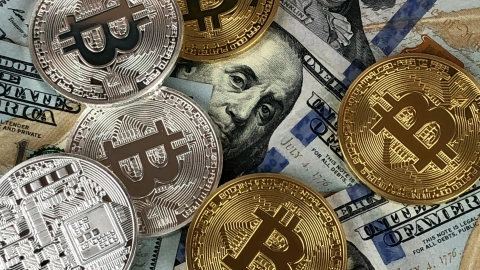 Legit Crypto Platforms to Watch in 2025: Where Safety Meets Utility